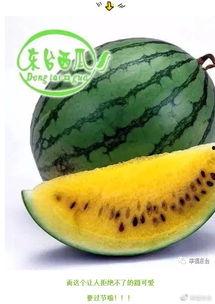 吃瓜二十集,揭秘娱乐圈背后的秘密与真相 第3张 吃瓜二十集,揭秘娱乐圈背后的秘密与真相 第3张